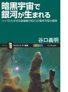 暗黒宇宙で銀河が生まれる(サイエンス・アイ新書)