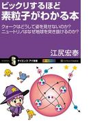 ビックリするほど素粒子がわかる本(サイエンス・アイ新書)