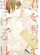 君を奪って逃げる日(ディアプラス・コミックス)