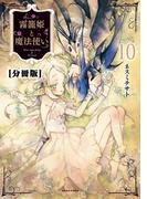 霧籠姫と魔法使い 分冊版（10）はなさないでいて
