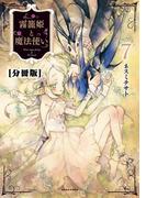 霧籠姫と魔法使い 分冊版（７）銀の花を探して