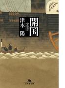 開国(幻冬舎文庫)