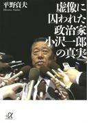 虚像に囚われた政治家 小沢一郎の真実(講談社＋α文庫)