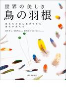 世界の美しき鳥の羽根