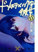 ドメスティックな彼女（11）
