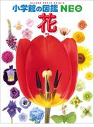 小学館の図鑑NEO　花(小学館の図鑑NEO)