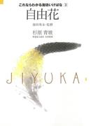 これならわかる池坊いけばな［３］自由花(これならわかる池坊いけばな)