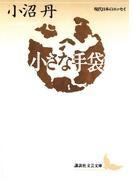 小さな手袋(講談社文芸文庫)