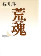 荒魂(講談社文芸文庫)
