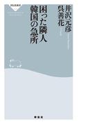 困った隣人　韓国の急所(祥伝社新書)