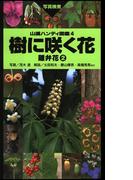 ヤマケイハンディ図鑑4 樹に咲く花 離弁花(2)(山溪ハンディ図鑑)