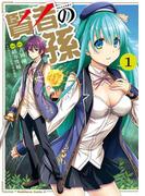 【全1-28セット】賢者の孫(角川コミックス・エース)