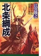 北条綱成(PHP文庫)