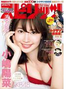 週刊ビッグコミックスピリッツ　2017年19号（2017年4月10日発売）