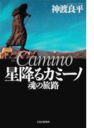 星降るカミーノ