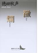 黴　爛(講談社文芸文庫)