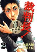 裁判長！ここは懲役4年でどうすか ２巻