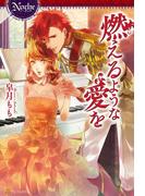 燃えるような愛を(ノーチェブックス)