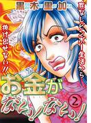 お金がない！ない！ 2(家庭サスペンス)
