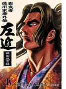 影武者徳川家康 左近 戦国風雲録　４巻