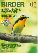 BIRDER2017年7月号