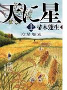 【全1-2セット】天に星　地に花(集英社文庫)