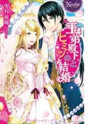 王弟殿下とヒミツの結婚(ノーチェブックス)