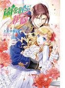 嵐を呼ぶ花嫁(マリーローズ文庫)