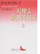 天使よ故郷を見よ　上(講談社文芸文庫)
