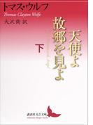 天使よ故郷を見よ　下(講談社文芸文庫)