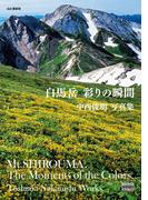 白馬岳　彩りの瞬間(YAMAKEI CREATIVE SELECTION)