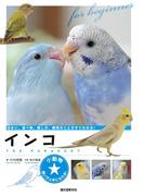 インコ(小動物★飼い方上手になれる！)