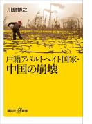 戸籍アパルトヘイト国家・中国の崩壊(講談社＋α新書)