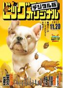 ビッグコミックオリジナル　2017年22号(2017年11月4日発売)
