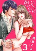 祖父とＳＭ～さぁ、お仕置きの時間です～3(黒ひめコミック)