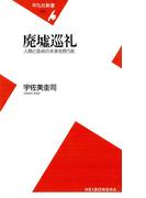 廃墟巡礼(平凡社新書)