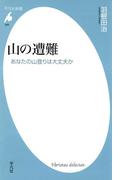 山の遭難(平凡社新書)