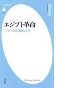エジプト革命(平凡社新書)