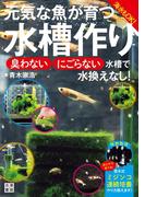 元気な魚が育つ水槽作り