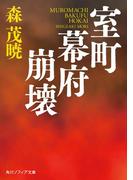 室町幕府崩壊(角川ソフィア文庫)