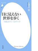 目に見えない世界を歩く(平凡社新書)