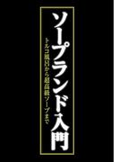 ソープランド入門　～トルコ風呂から超高級ソープまで～