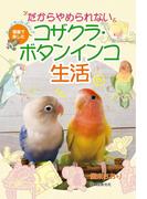 だからやめられない コザクラ・ボタンインコ生活