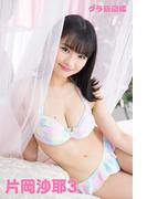 片岡沙耶3　グラ飯図鑑