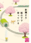 桜の下で待っている(実業之日本社文庫)