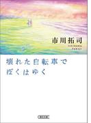 壊れた自転車でぼくはゆく(朝日文庫)