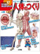 ワンダーキッズペディア17　人間 ～人体のつくり～(ワンダーキッズペディア)