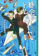 都会のトム＆ソーヤ（１５）　エアポケット(YA! ENTERTAINMENT)