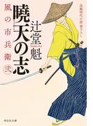 曉天の志　風の市兵衛　弐［21］(祥伝社文庫)