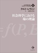 社会科学における場の理論